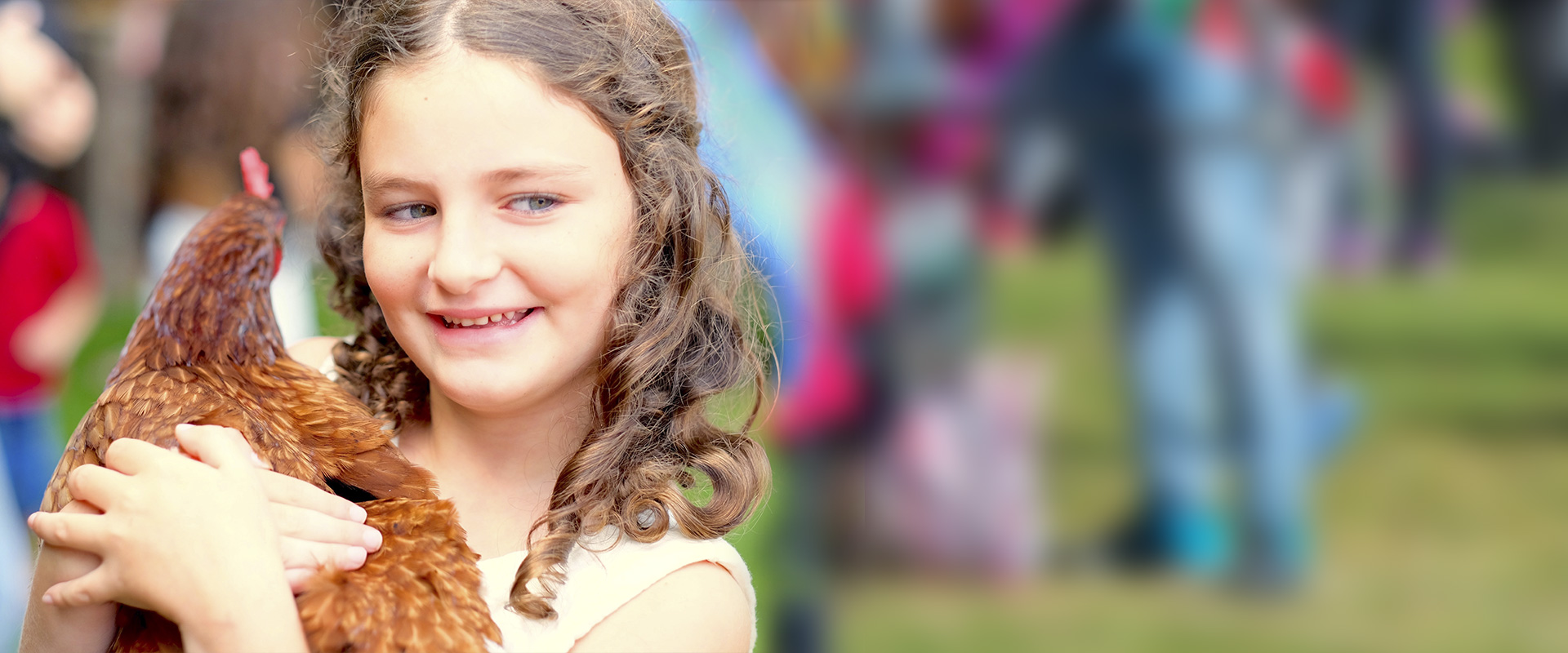 kid playing with a rooster